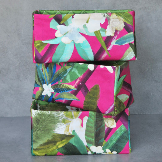 Canopy Fuchsia